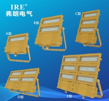 BRE1801  防爆免维护节能灯   A,B,C,D,E型