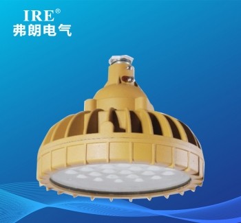 BRE-8630 防爆免维护节能灯-A型（LED）