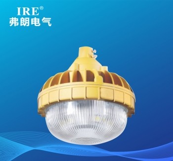 BRE-8630 防爆免维护节能灯-B型（LED）