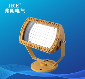 BRE-8679 防爆免维护节能灯系列