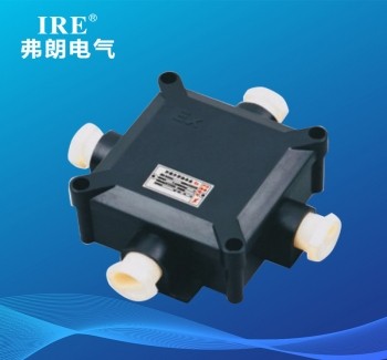 BH-8050系列防爆防腐接线盒(IIC tD)