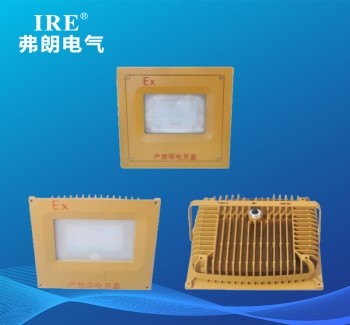 BRE-8680 防爆免维护节能灯（LED）