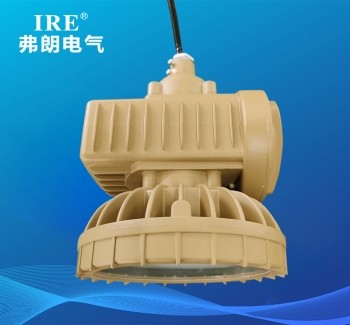 BAJ防爆应急灯（LED）
