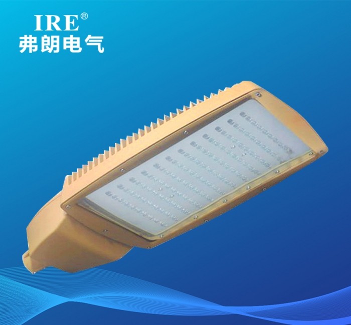 防爆免维护节能灯 BRE-8695