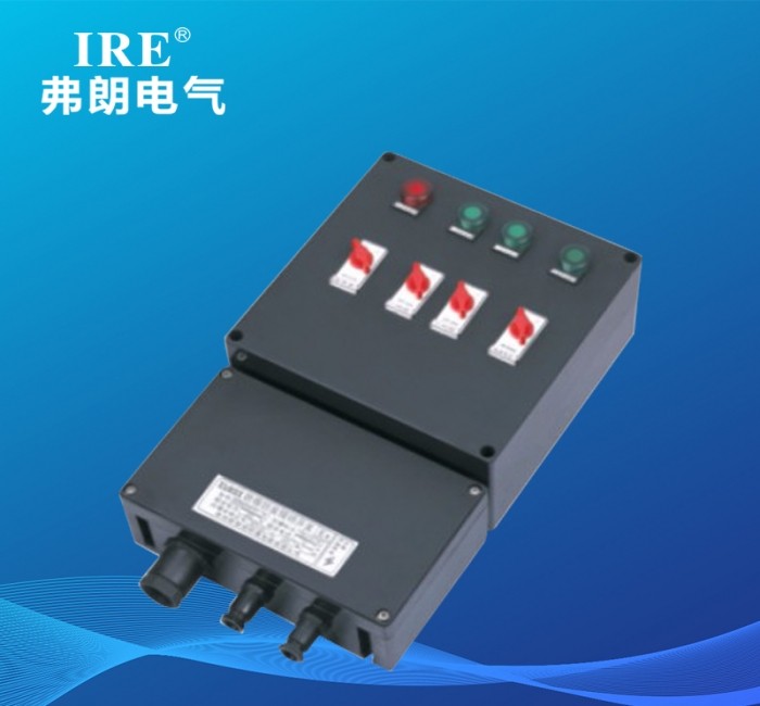 BCX8030系列防爆防腐动力配电箱（检修）及内装防爆元件（IIC、 tD）