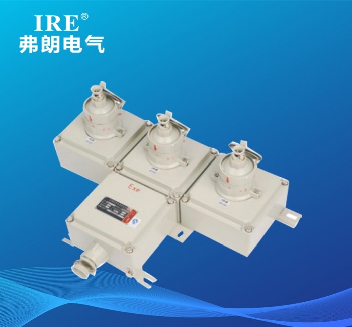 BCX系列防爆检修（电源）插座箱（IIC、tD）