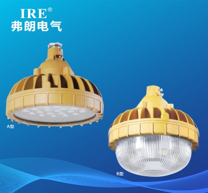 BRE-8630 防爆免维护节能灯-A型  B型（LED）