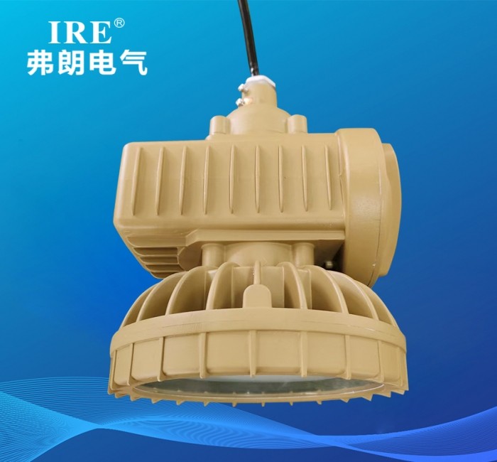 BAJ防爆应急灯（LED）